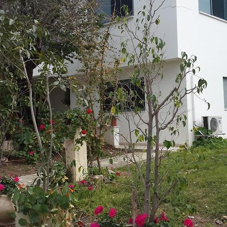 Kibbutz Nachshon Bed & Breakfast Dış mekan fotoğraf