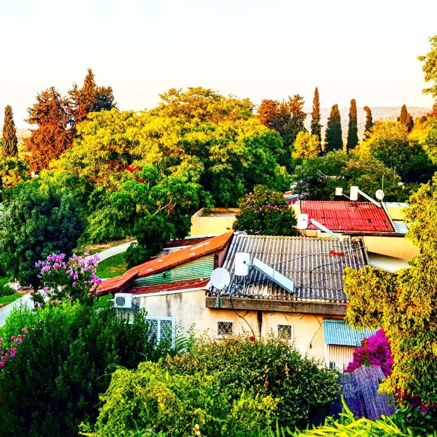 Kibbutz Nachshon Bed & Breakfast Dış mekan fotoğraf