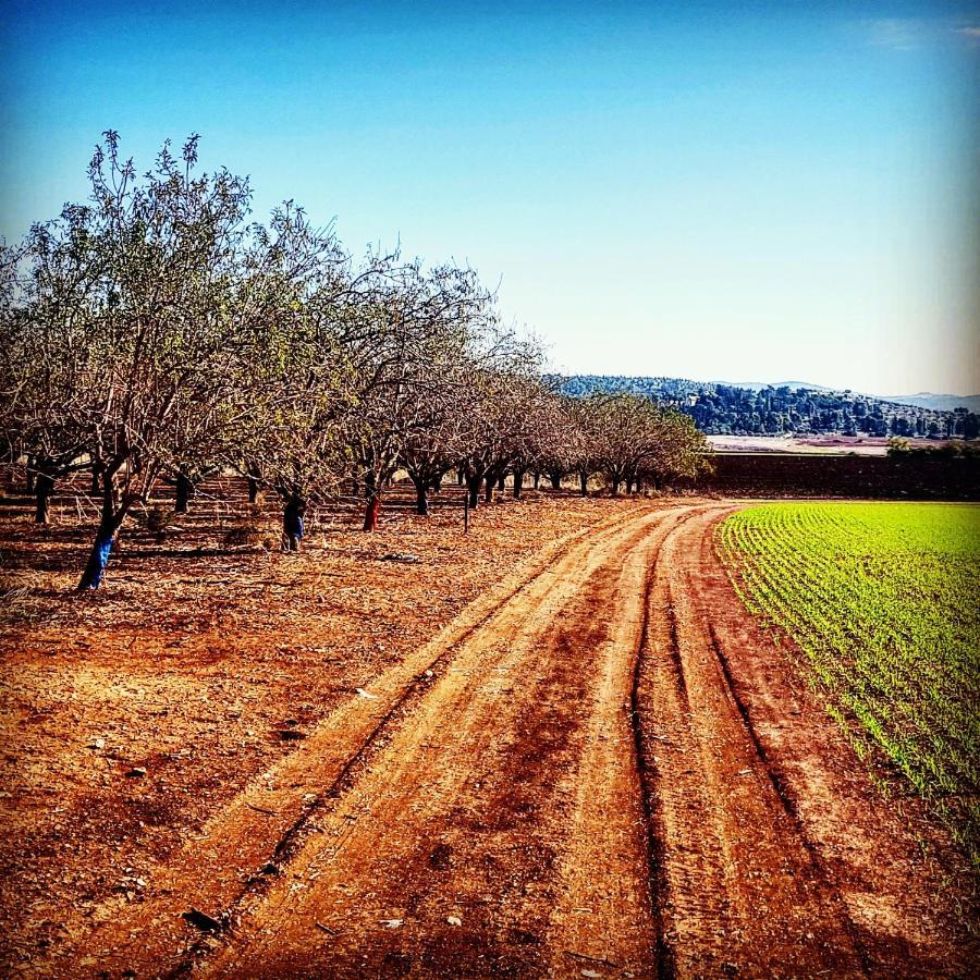 Kibbutz Nachshon Bed & Breakfast Dış mekan fotoğraf