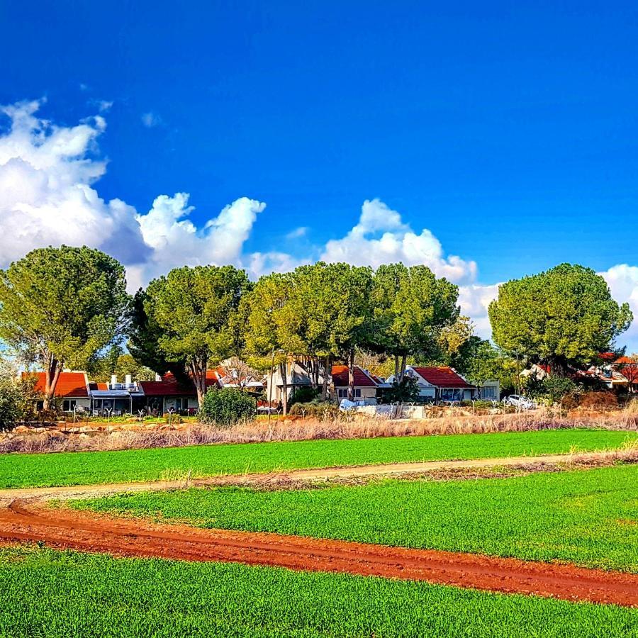 Kibbutz Nachshon Bed & Breakfast Dış mekan fotoğraf