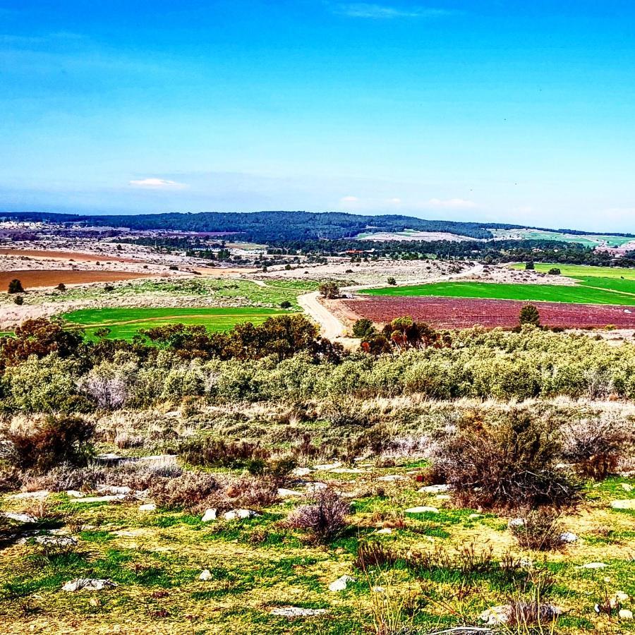 Kibbutz Nachshon Bed & Breakfast Dış mekan fotoğraf