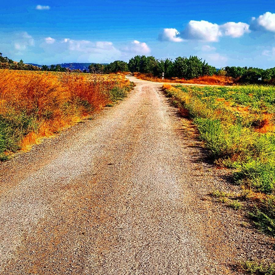 Kibbutz Nachshon Bed & Breakfast Dış mekan fotoğraf