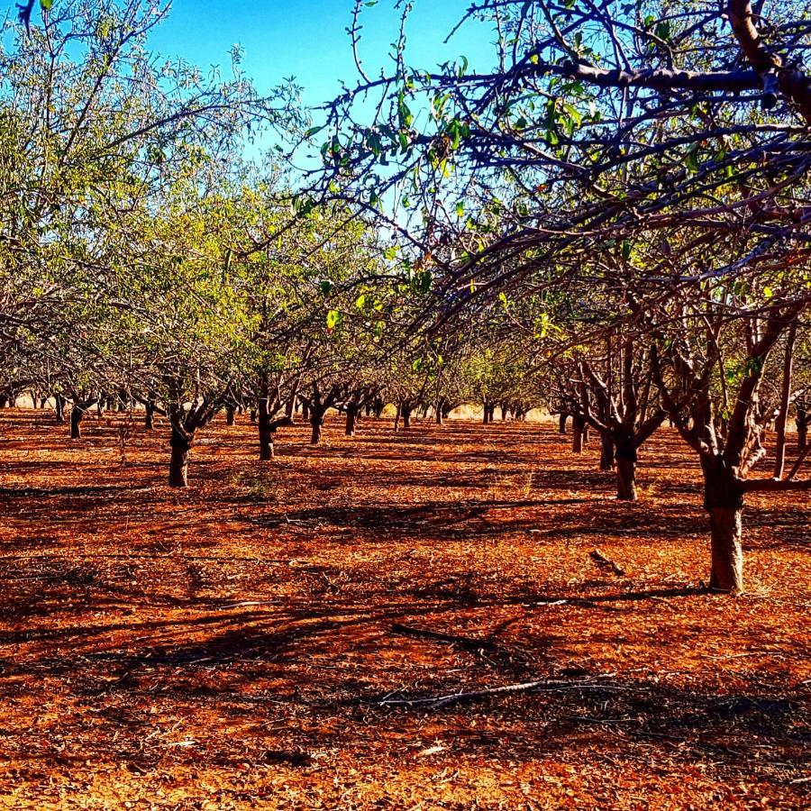 Kibbutz Nachshon Bed & Breakfast Dış mekan fotoğraf