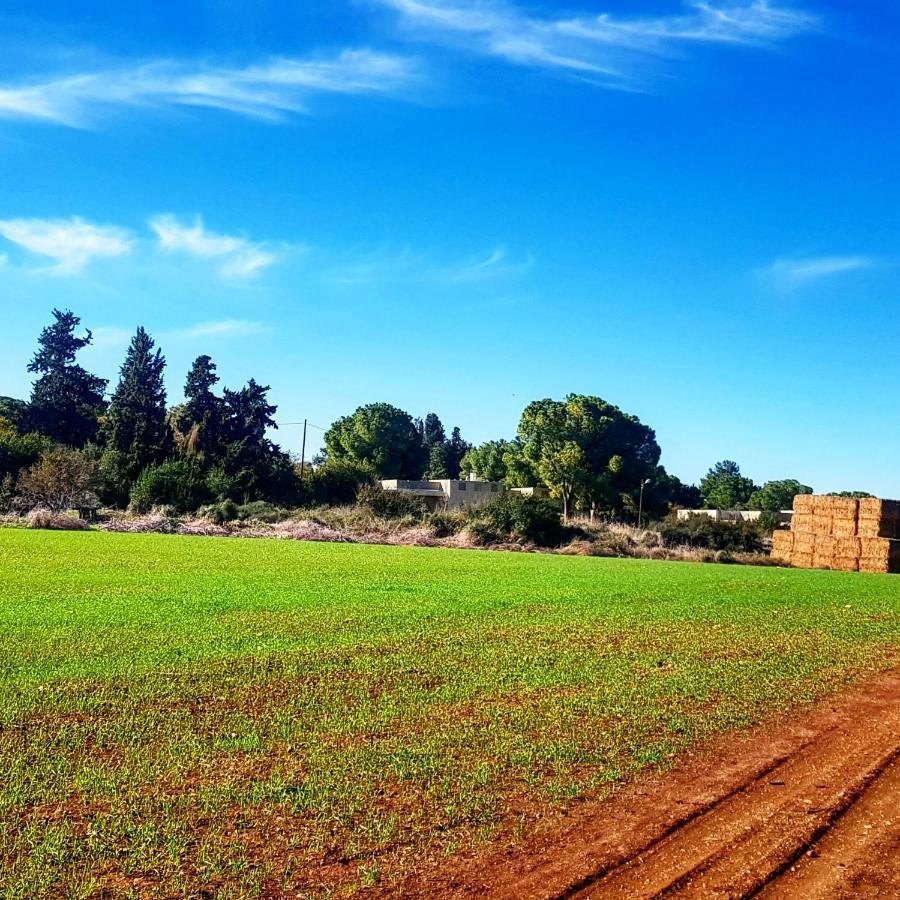 Kibbutz Nachshon Bed & Breakfast Dış mekan fotoğraf