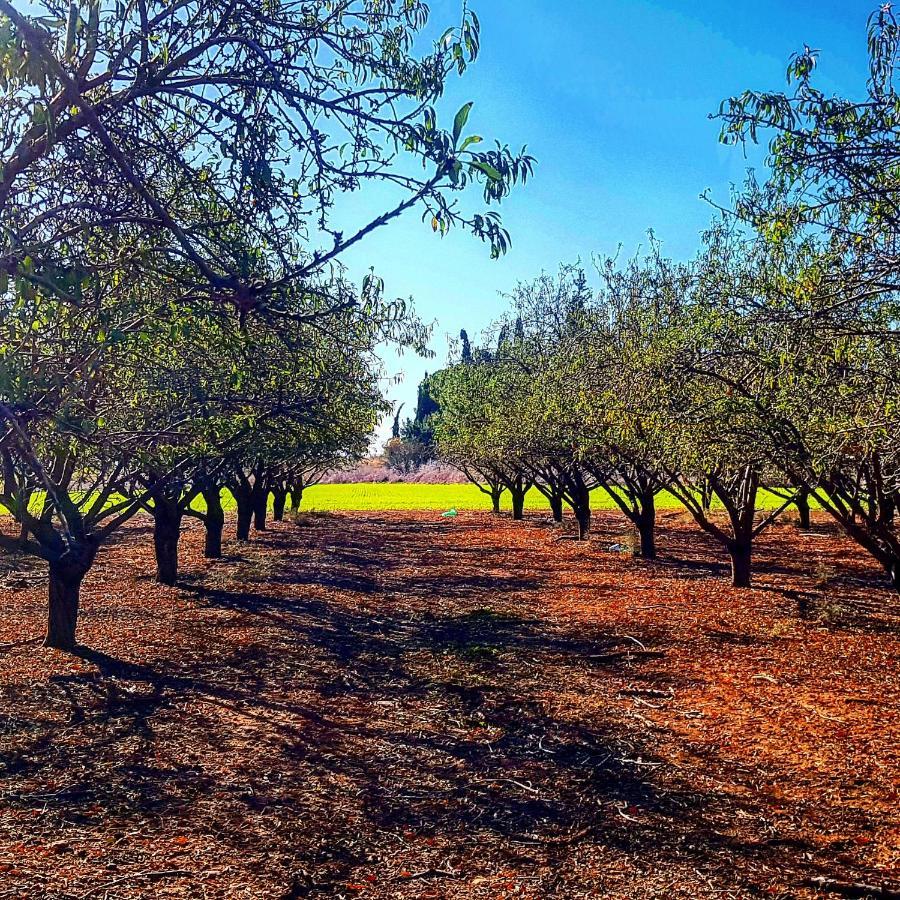 Kibbutz Nachshon Bed & Breakfast Dış mekan fotoğraf